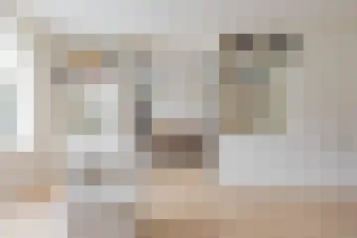 Mandenmakerskade 22 Lisse thumbnail 16