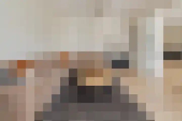 Mandenmakerskade 22 Lisse thumbnail 18