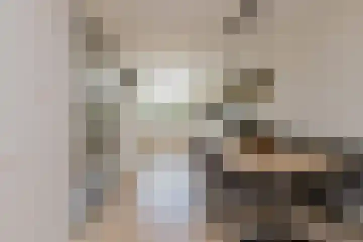 Mandenmakerskade 22 Lisse thumbnail 21