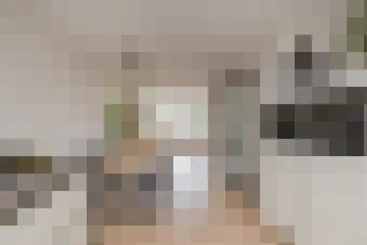 Mandenmakerskade 22 Lisse thumbnail 23