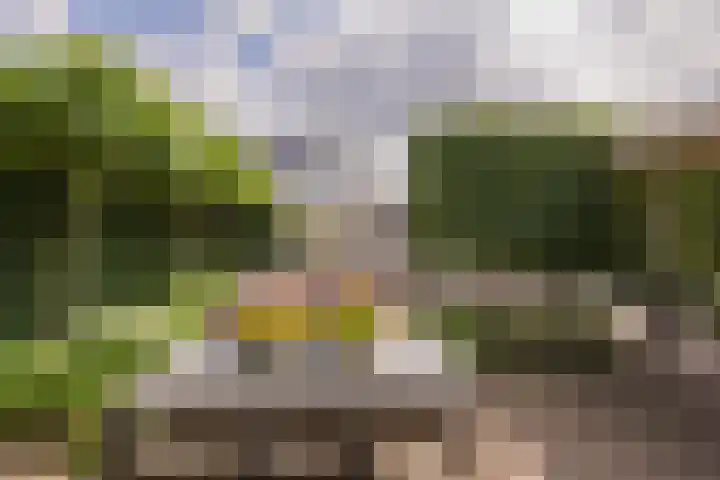 Mandenmakerskade 22 Lisse thumbnail 27