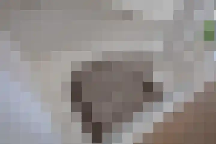 Mandenmakerskade 22 Lisse thumbnail 31