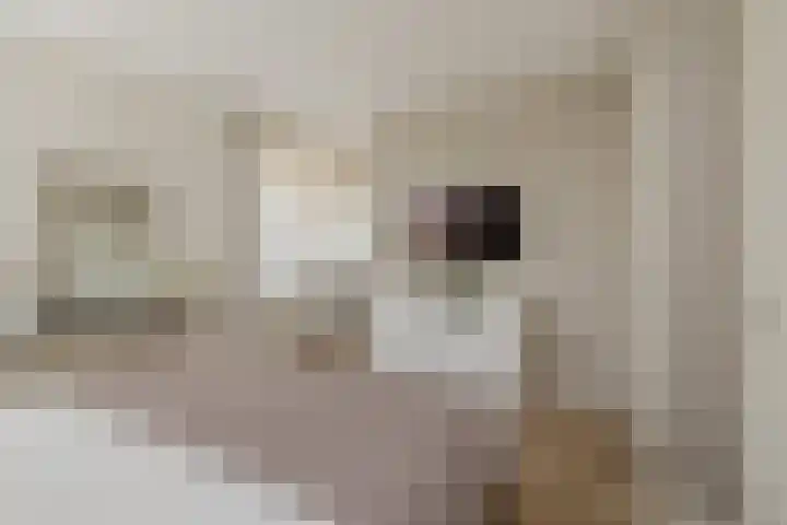 Mandenmakerskade 22 Lisse thumbnail 35