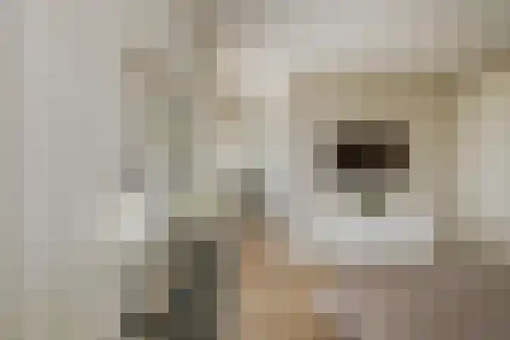 Mandenmakerskade 22 Lisse thumbnail 38