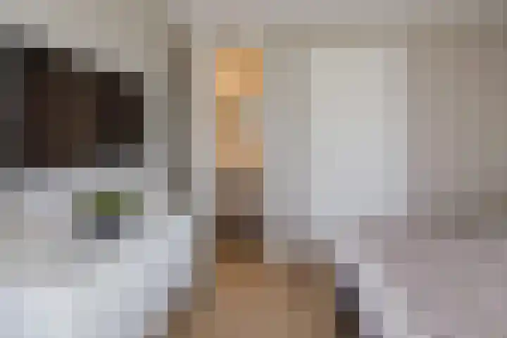 Mandenmakerskade 22 Lisse thumbnail 39