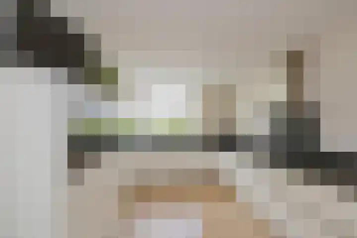 Mandenmakerskade 22 Lisse thumbnail 4