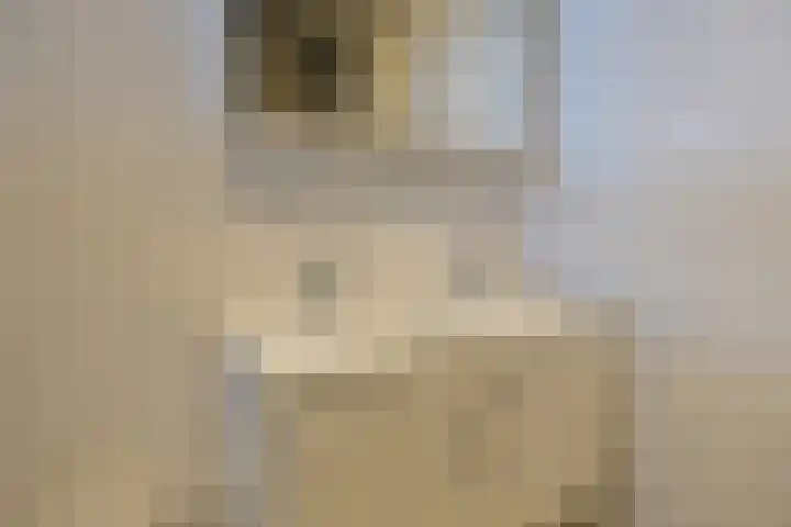 Mandenmakerskade 22 Lisse thumbnail 48