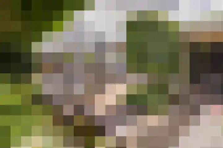 Mandenmakerskade 22 Lisse thumbnail 5