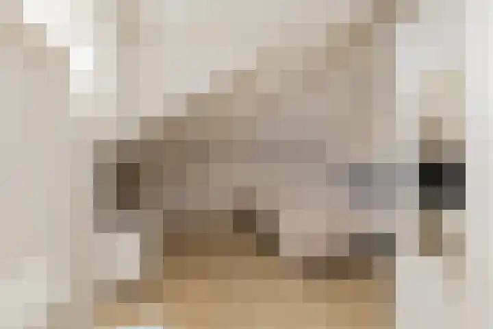 Mandenmakerskade 22 Lisse thumbnail 51