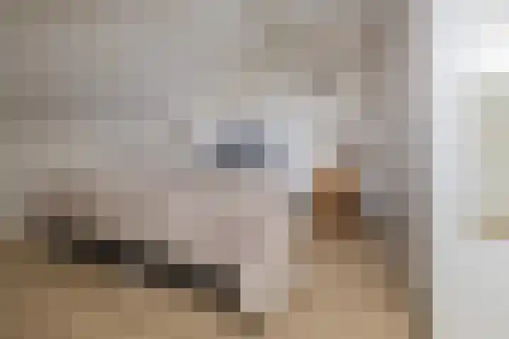 Mandenmakerskade 22 Lisse thumbnail 52