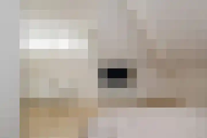 Mandenmakerskade 22 Lisse thumbnail 53