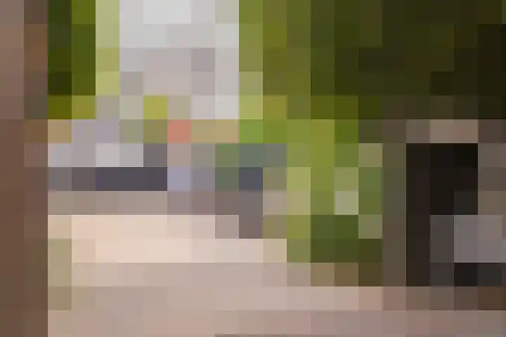 Mandenmakerskade 22 Lisse thumbnail 57
