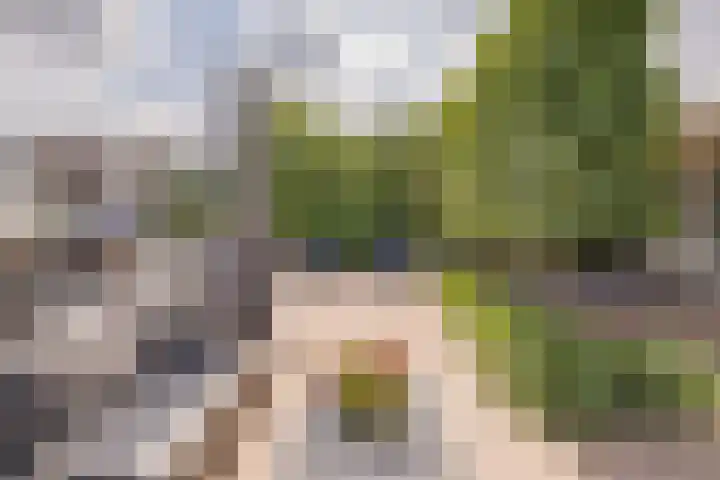 Mandenmakerskade 22 Lisse thumbnail 58