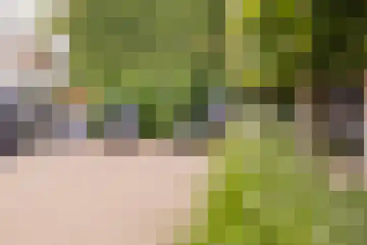 Mandenmakerskade 22 Lisse thumbnail 59