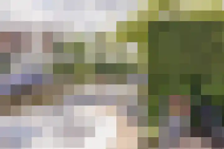 Mandenmakerskade 22 Lisse thumbnail 60