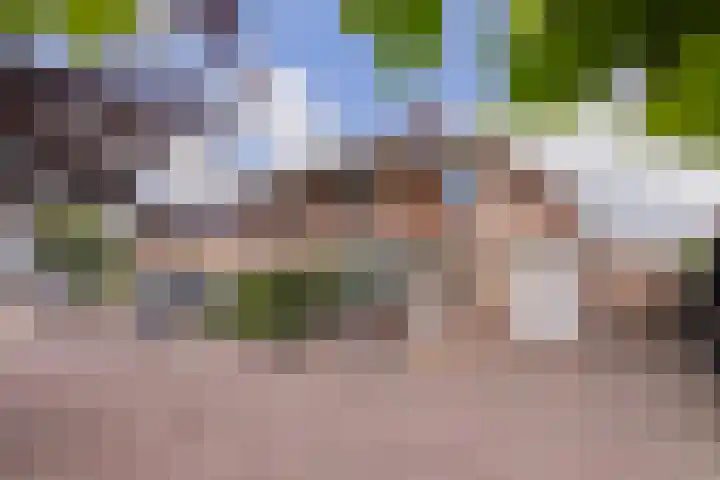 Mandenmakerskade 22 Lisse thumbnail 63