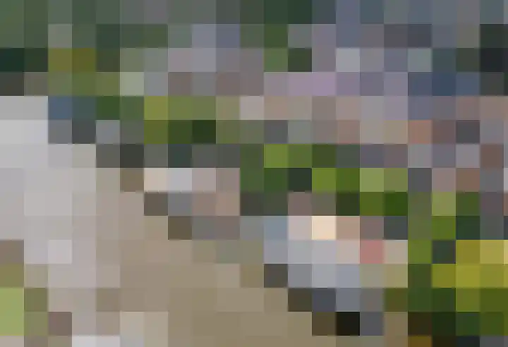 Mandenmakerskade 22 Lisse thumbnail 65