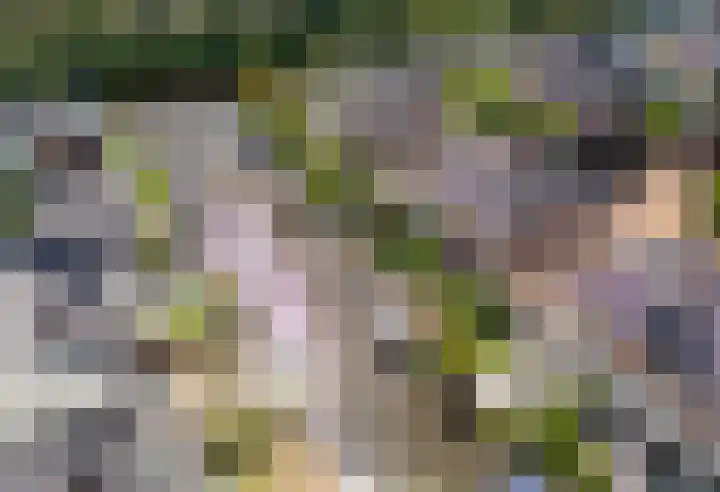 Mandenmakerskade 22 Lisse thumbnail 66