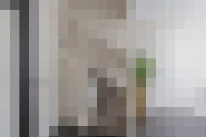 Mandenmakerskade 22 Lisse thumbnail 8