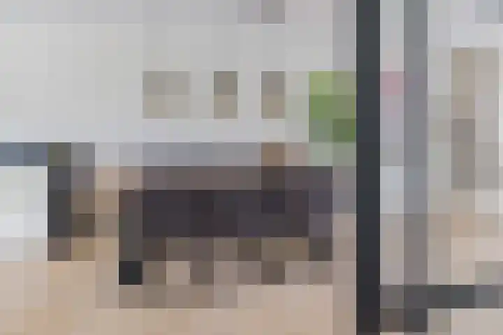 Mandenmakerskade 22 Lisse thumbnail 9