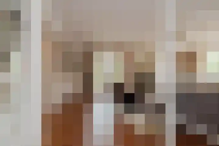 Mandenmakerskade 6 Lisse thumbnail 10