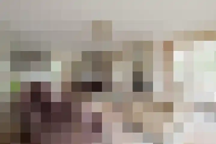 Mandenmakerskade 6 Lisse thumbnail 12
