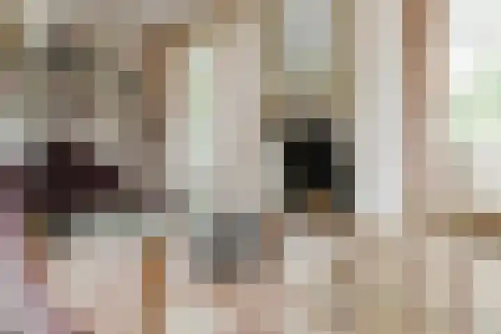 Mandenmakerskade 6 Lisse thumbnail 13