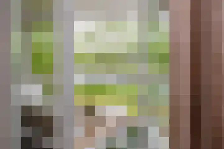 Mandenmakerskade 6 Lisse thumbnail 17