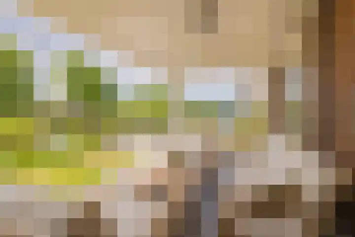 Mandenmakerskade 6 Lisse thumbnail 18