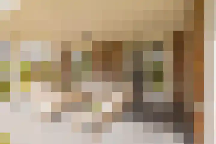 Mandenmakerskade 6 Lisse thumbnail 19