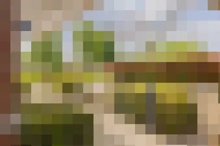 Mandenmakerskade 6 Lisse thumbnail 20