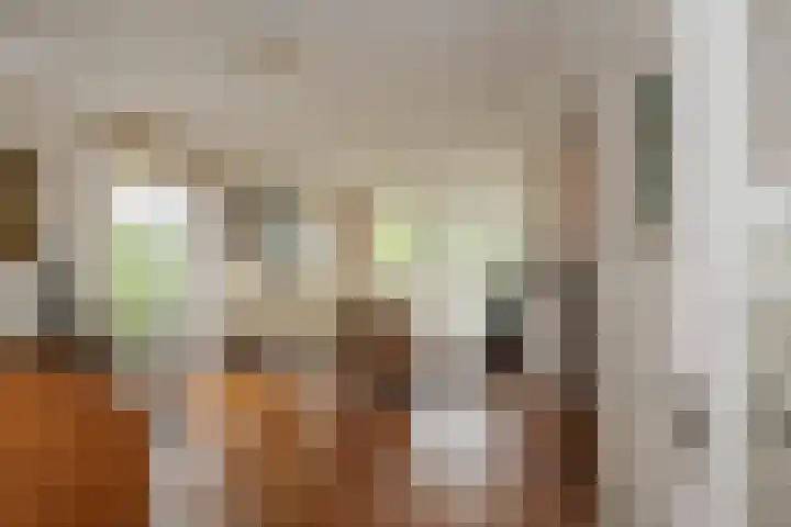 Mandenmakerskade 6 Lisse thumbnail 21