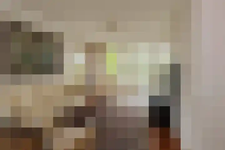 Mandenmakerskade 6 Lisse thumbnail 22