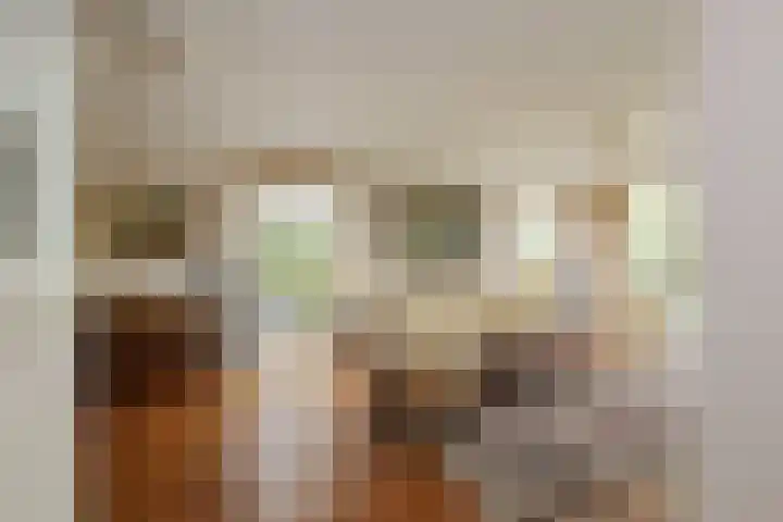 Mandenmakerskade 6 Lisse thumbnail 23