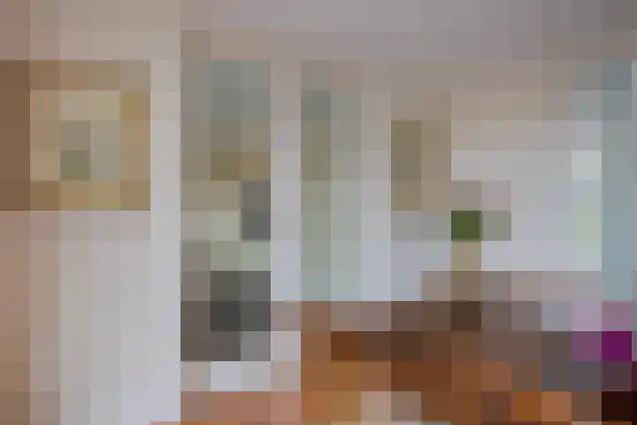 Mandenmakerskade 6 Lisse thumbnail 28