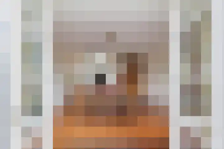 Mandenmakerskade 6 Lisse thumbnail 29