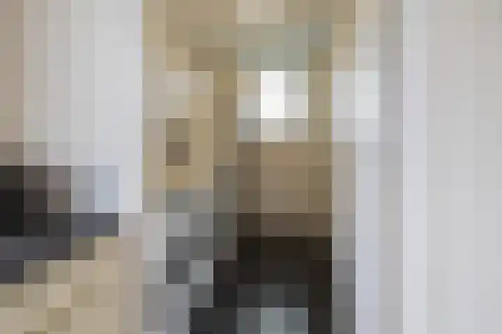 Mandenmakerskade 6 Lisse thumbnail 34