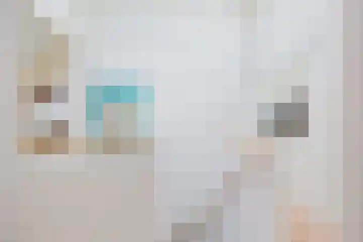 Mandenmakerskade 6 Lisse thumbnail 36