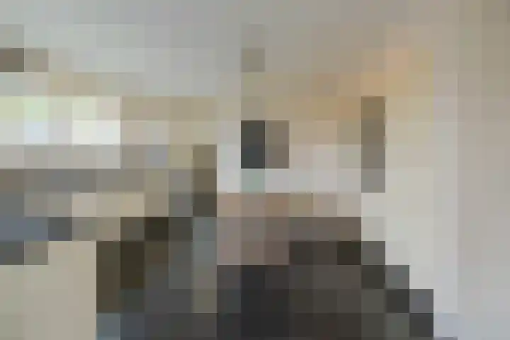 Mandenmakerskade 6 Lisse thumbnail 4
