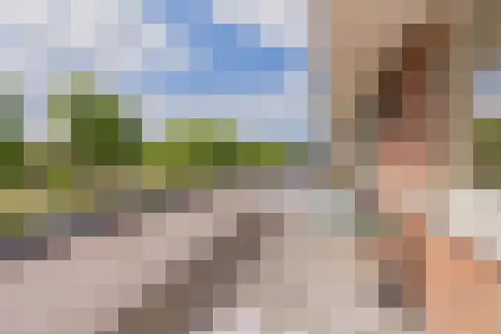 Mandenmakerskade 6 Lisse thumbnail 42