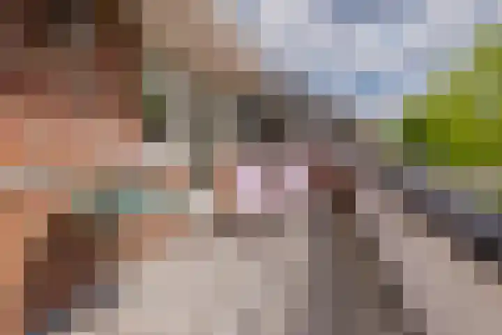 Mandenmakerskade 6 Lisse thumbnail 43
