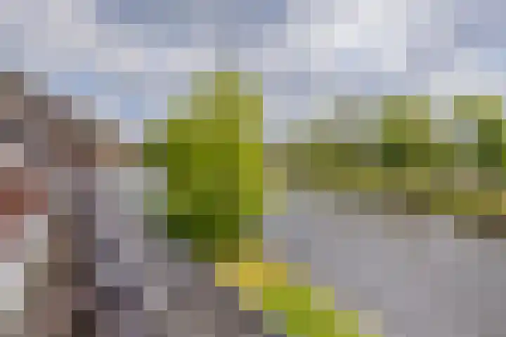 Mandenmakerskade 6 Lisse thumbnail 44