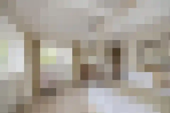 Mandenmakerskade 6 Lisse thumbnail 45