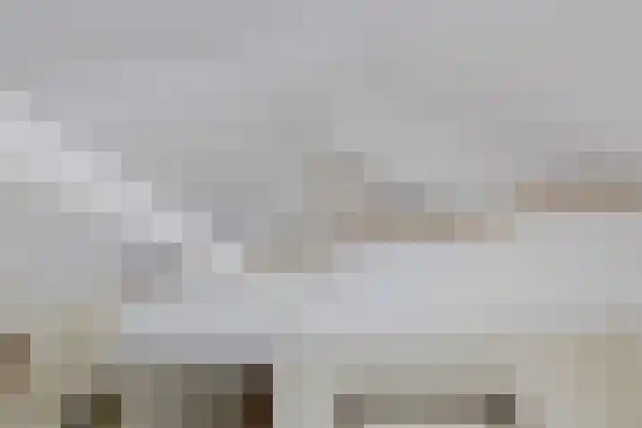 Mandenmakerskade 6 Lisse thumbnail 46