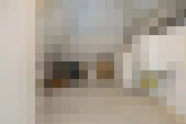 Mandenmakerskade 6 Lisse thumbnail 47