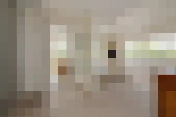 Mandenmakerskade 6 Lisse thumbnail 48
