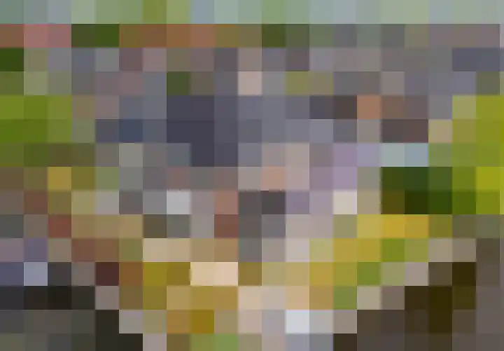 Mandenmakerskade 6 Lisse thumbnail 5