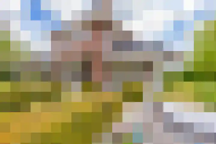 Mandenmakerskade 6 Lisse thumbnail 61