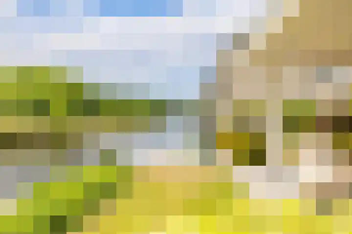 Mandenmakerskade 6 Lisse thumbnail 63