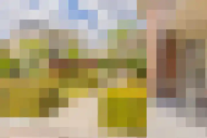 Mandenmakerskade 6 Lisse thumbnail 64